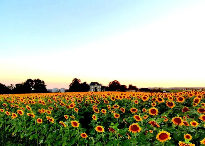 La Poule Verte * Archiac